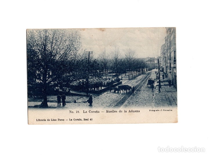 Postales: LA CORU&Ntilde;A - MUELLES DE LA ADUANA. - Foto 1