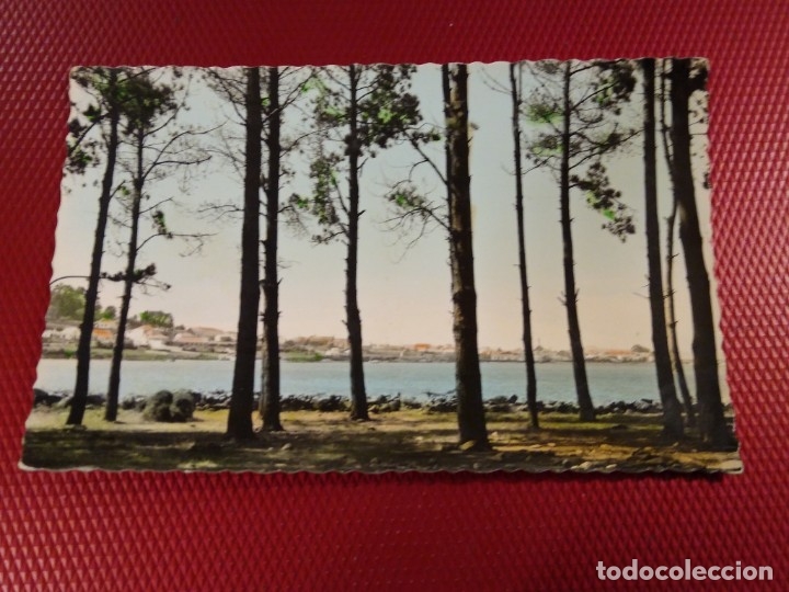 Cartes Postales: 4 La Toja. Vista parcial desde el Pinar  Ediciones Arribas. Sin circular