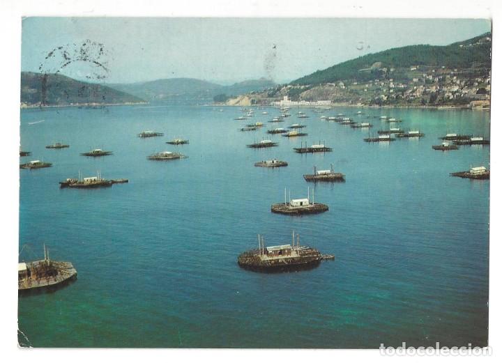 Postales: VIGO.- N&ordm; 27, MEJILLONES DE LA R&Iacute;A. EDICI&Oacute;N LA REGI&Oacute;N. GALICIA- CIRCULADA (1968)