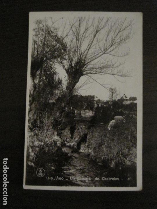 Postales: VIGO-UN PAISAJE DE CASTRELOS-1518-FOTOGRAFICA UNIQUE-VER FOTOS-(65.125)