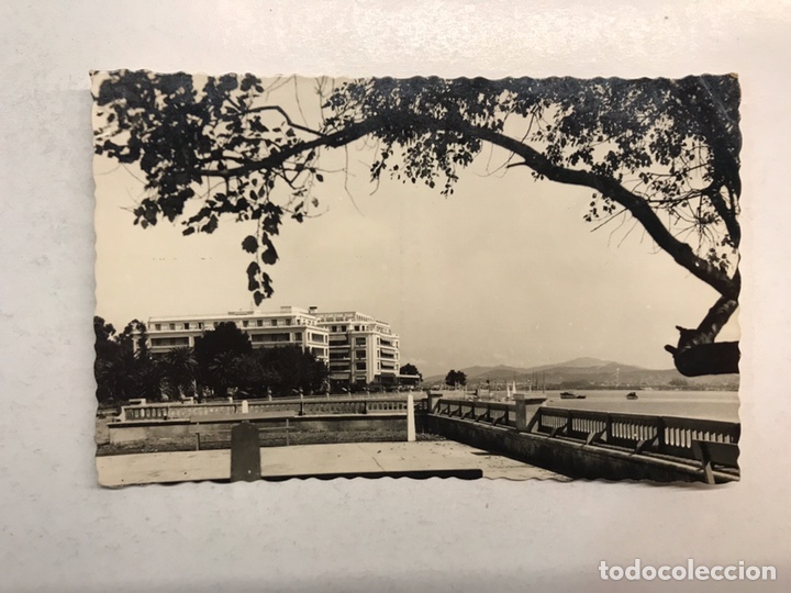 Postales: LA TOJA (Pontevedra) Postal No. 10, Terraza Gran Hotel. Edita: Ed. Arribas (h.1950?)