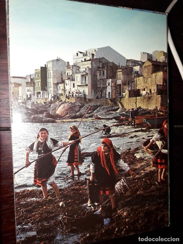 Postkarten: N&ordm; 35138 POSTAL GALICIA RECOGIENDO ALGAS