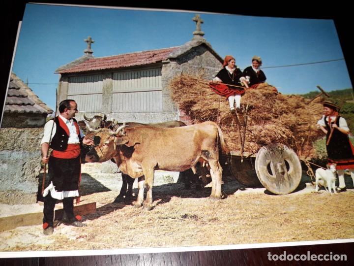 Cartes Postales: N&ordm; 35331 POSTAL GALICIA TRAJES TIPICOS