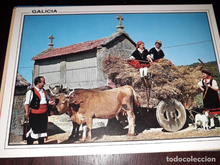Cartes Postales: N&ordm; 38069 POSTAL GALICIA A ANADA TRAJES TIPICOS