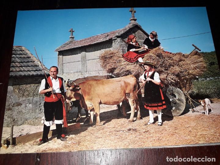 Cartes Postales: N&ordm; 38083 POSTAL GALICIA CAMINO DA EIRA TRAJES TIPICOS