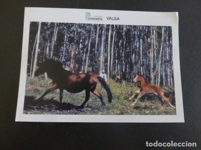 Postales: VALGA PONTEVEDRA - Foto 1