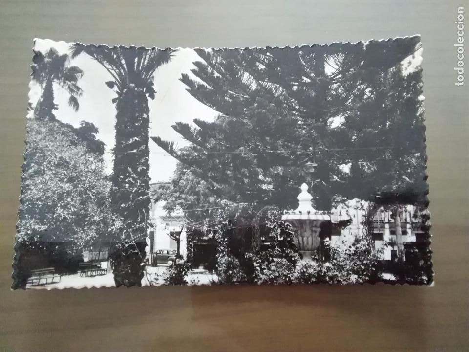 Postcards: POSTAL NOVELDA - GLORIETA Y UNO DE SUS PASEOS