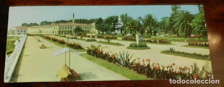 Postales: FOTO POSTAL DE LA TOJA, JARDINES DEL BALNEARIO. Fotografias de A.Campa&ntilde;&aacute; y J.Puig Ferr&aacute;n. No circula