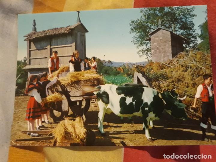 Postkarten: Postal GALICIA FOLKLORE GAVEXANDO O TRIGO Editorial ALARDE N&ordm; 4 a&ntilde;os 60*