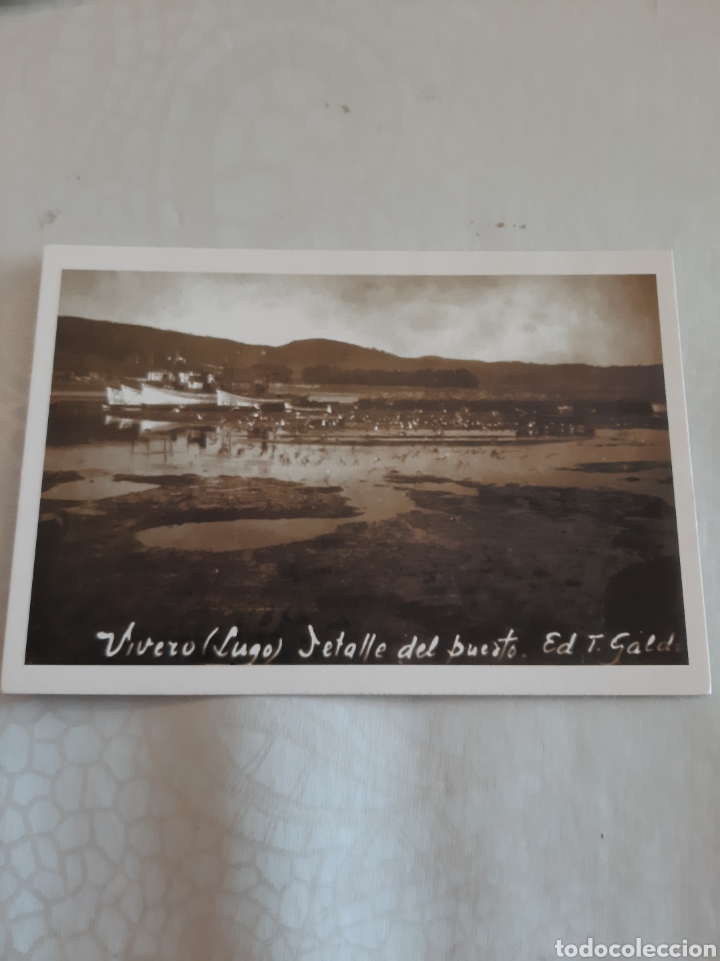 Postales: VIVERO PORTO PROGRESO LUGO POSTAL - Foto 1