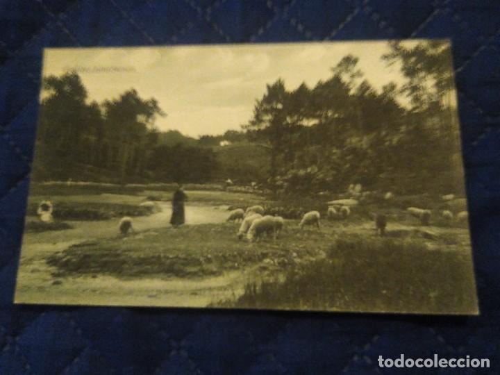 Postales: Galicia pintoresca. SIN CIRCULAR