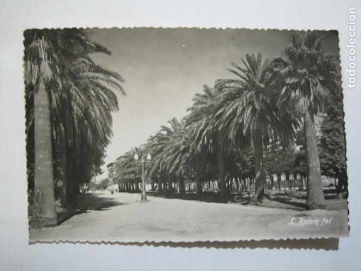 Postkarten: PONTEVEDRA-PASEO DE LAS PALMERAS-ROISIN FOTO-5-POSTAL ANTIGUA-(77.246)