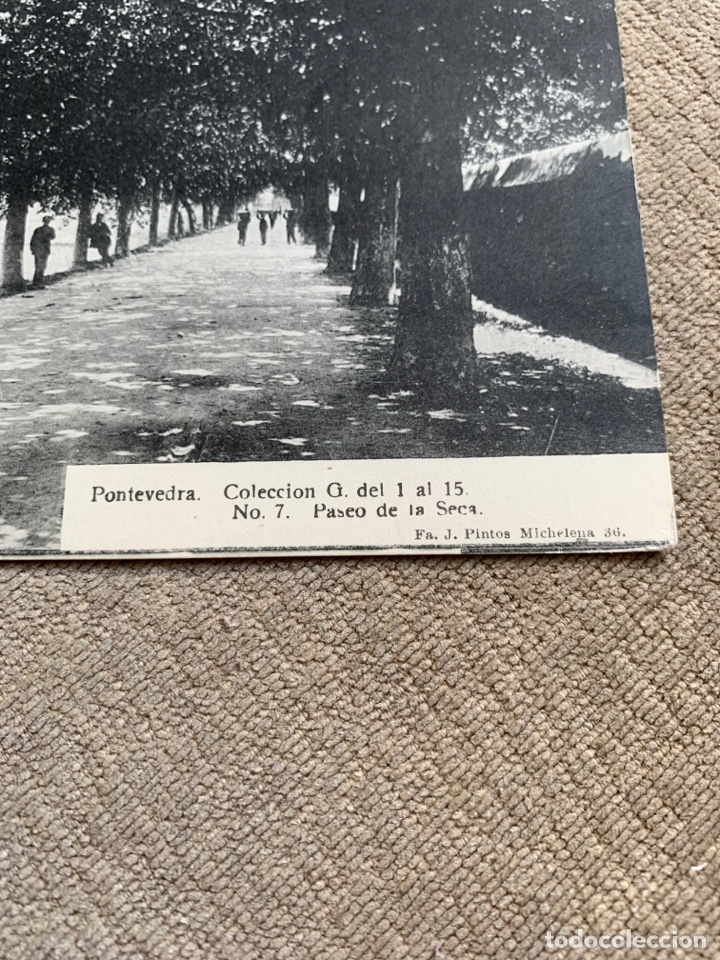 Postales: Pontevedra Paseo de la Seca - Foto 2