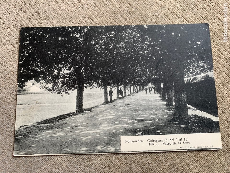Postales: Pontevedra Paseo de la Seca - Foto 1