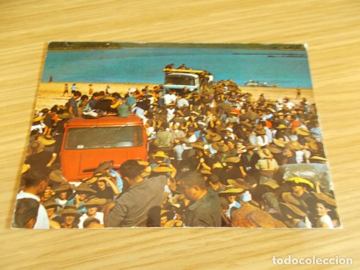 Postales: NOYA -- CORU&Ntilde;A -- VENTA DE MARISCO EN TESTAL - Foto 1