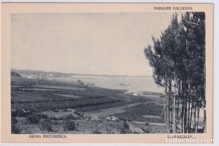 Postkarten: Paisajes Gallegos. Arosa Pintoresca. 5 Maizales Sin circular