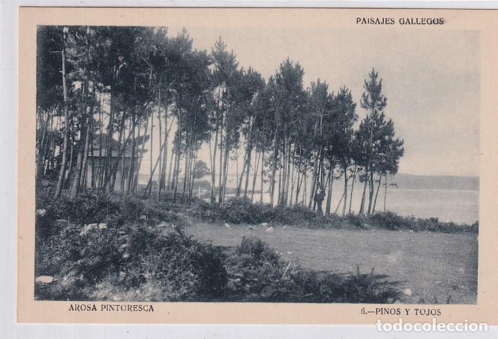 Postcards: Paisajes Gallegos. Arosa Pintoresca 6 Pinos y Tojos. Sin circular