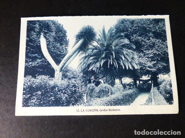 Postales: LA CORU&Ntilde;A JARDIN BOTANICO - Foto 1