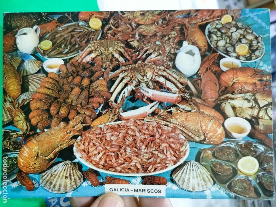 Postkarten: Postal GALICIA Mariscos N 3063 FAMA Escrita y Sellada