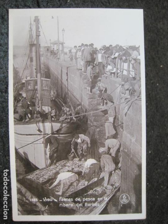 Postales: VIGO-FAENAS DE PESCA EN LA RIBERA DEL BERBES-FOTOGRAFICA UNIQUE-POSTAL ANTIGUA-(93.435)