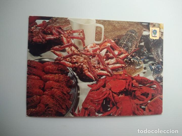 Cartes Postales: Postal galicia- Mariscos