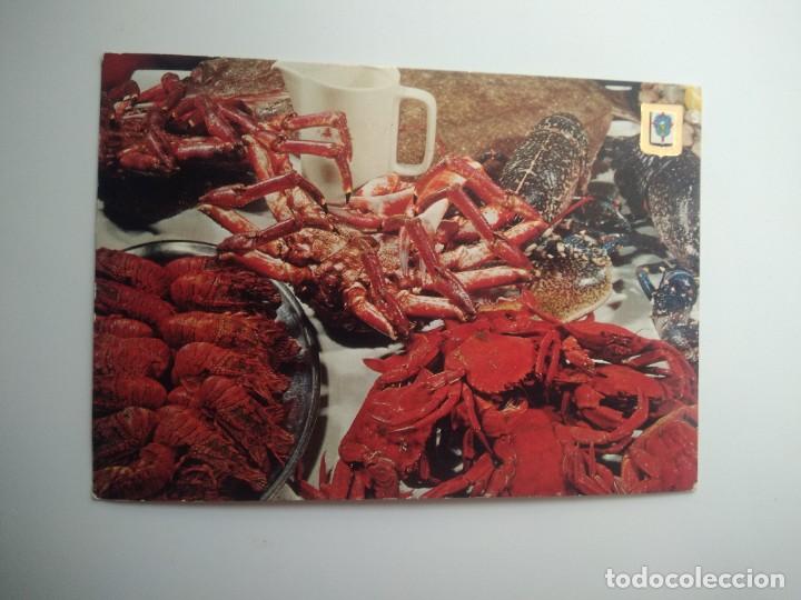 Postales: Postal galicia- Mariscos - Foto 2