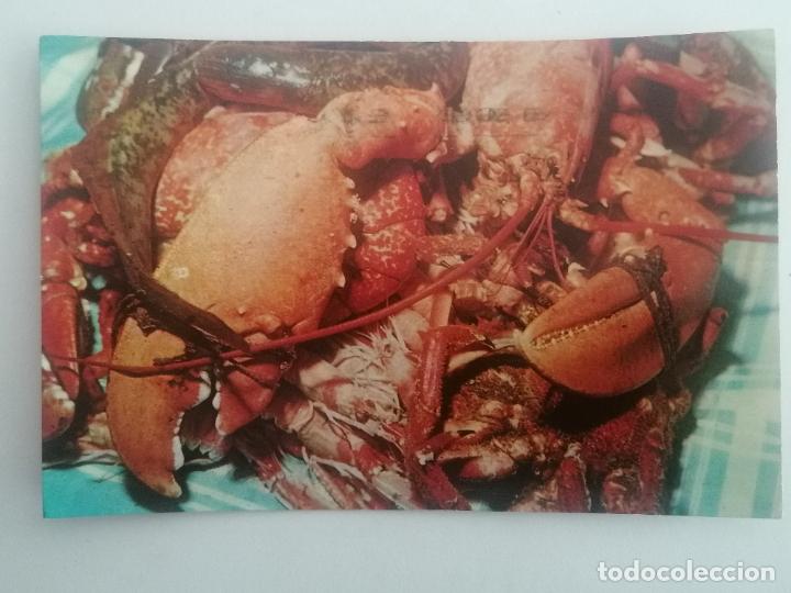 Postkarten: POSTAL GALICIA, PLATOS TIPICOS, A&Ntilde;O 1963