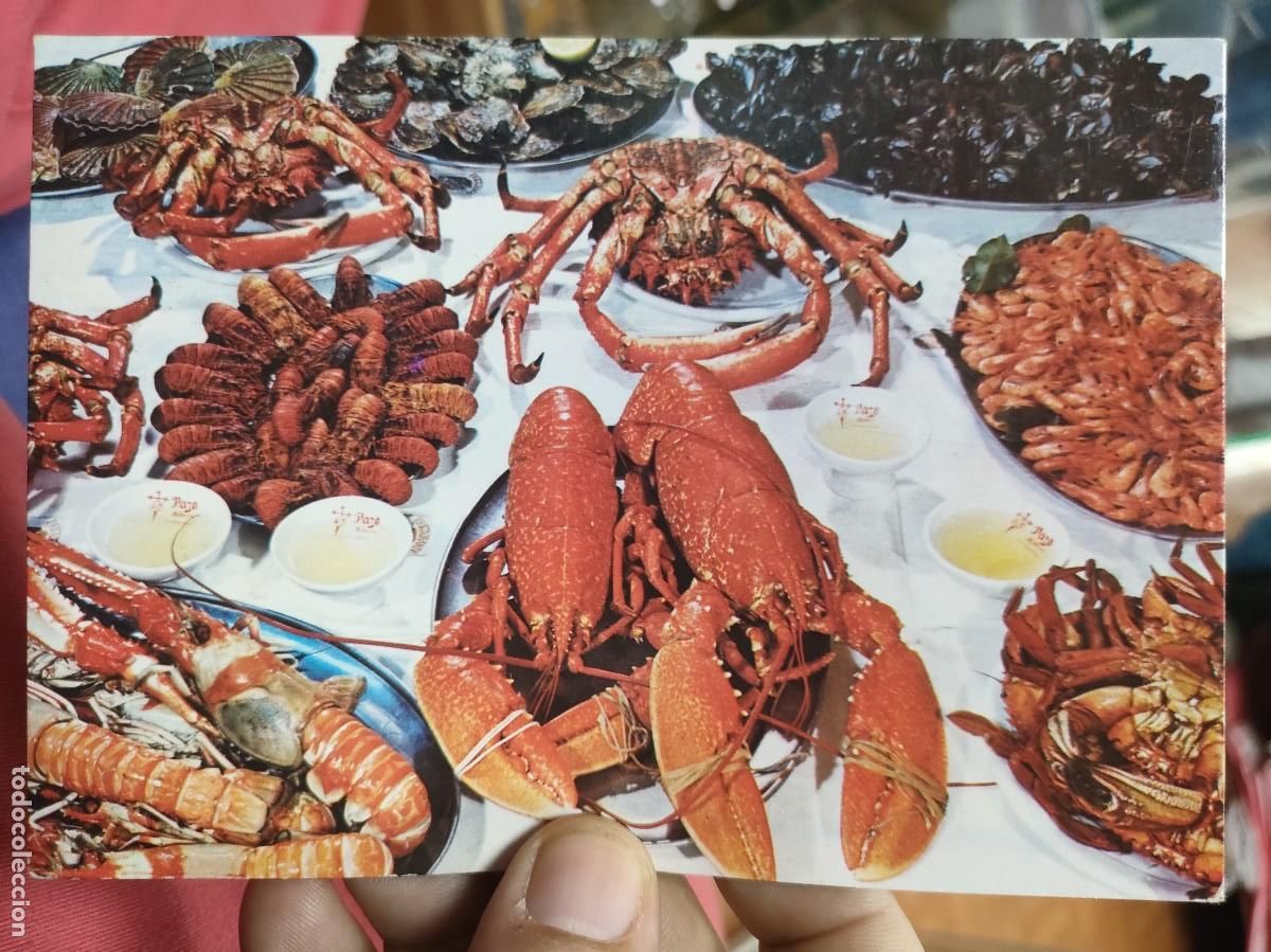 Postcards: Postal GALICIA Mariscos N 3323 FAMA 1975 Escrita y Bellamente Sellada