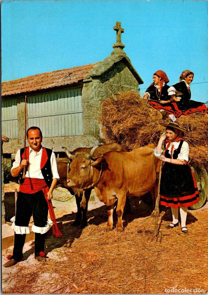 Postcards: Galicia - Volta da Seitura - Ed. Arribas n&ordm; 2901 - 150x105mm