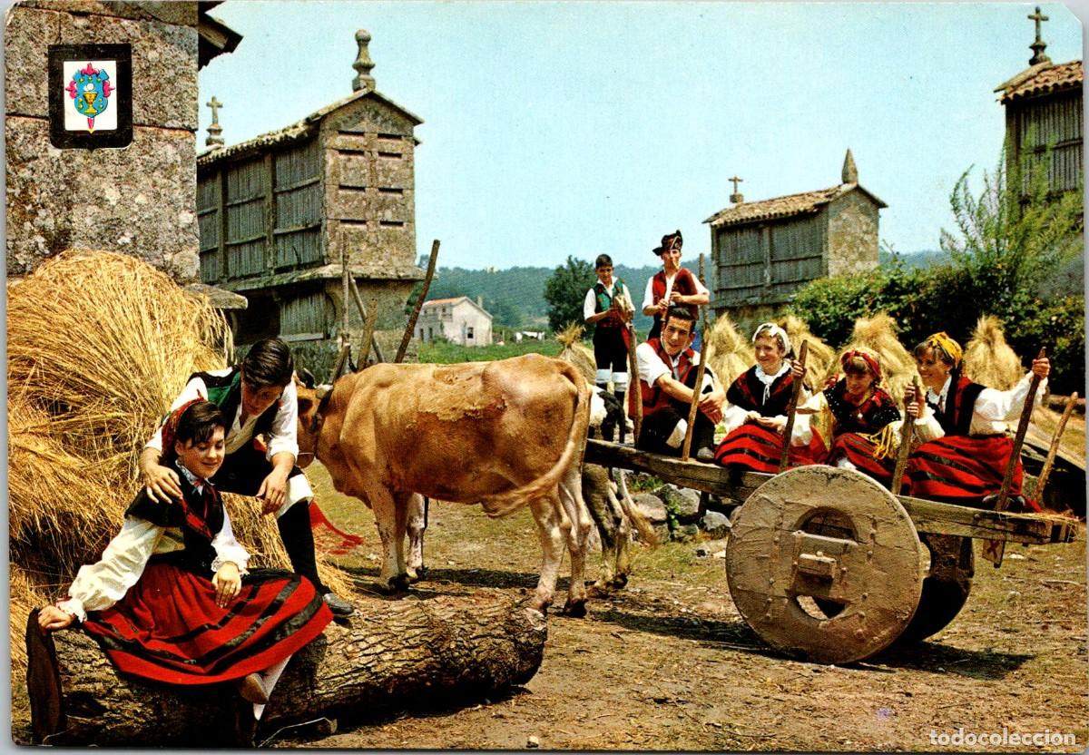 Cartes Postales: Galicia - Engayolando - Ed. Dom&iacute;nguez n&ordm; 16 - 150x105mm