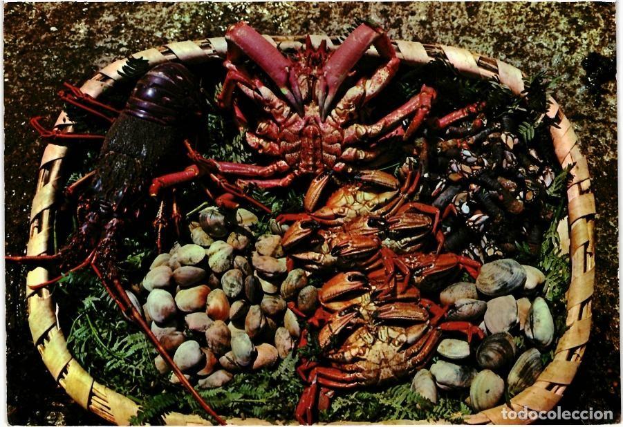 Postales: MARISCOS - GALICIA - N&ordm; 94 - EDICIONES ARRIBAS - (2263)