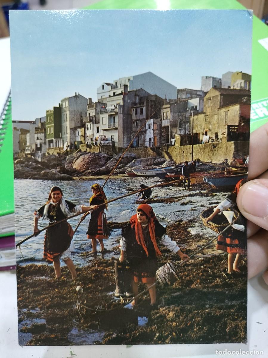 Postcards: Postal GALICIA Recogiendo Algas N 3573 FAMA S/C