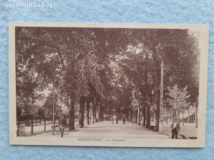 Postales: Pontevedra. La Alameda. - Foto 1