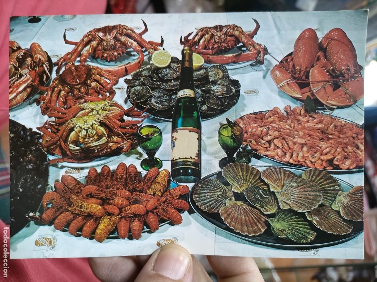 Postcards: Postal GALICIA Mariscos N 3268 FAMA escrita y Bellamente Sellada