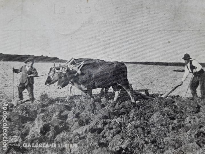 Postales: Galicia. En el Campo. - Foto 2