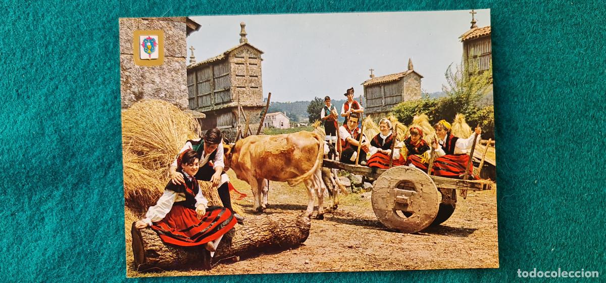 Postkarten: POSTAL GALICIA - ENGAYOLANDO