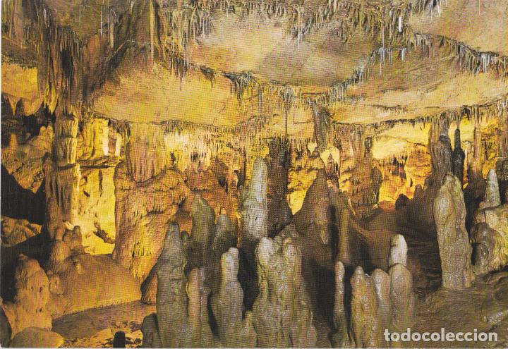 Cartes Postales: CUEVAS DE ALTAMIRA, ESTALAGMITAS &ndash; FOTO BUSTAMANTE N&ordm;48 &ndash; S/C