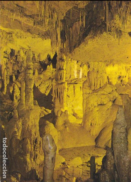Cartes Postales: CUEVAS DE ALTAMIRA, ESTALAGMITAS Y ESTALAGTITAS &ndash; EDICIONES ALARDE N&ordm;2 &ndash; S/C