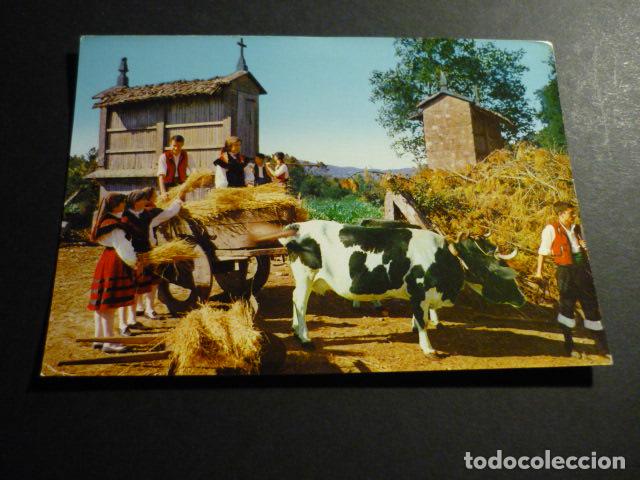 Postales: FOLKLORE GALLEGO - Foto 1
