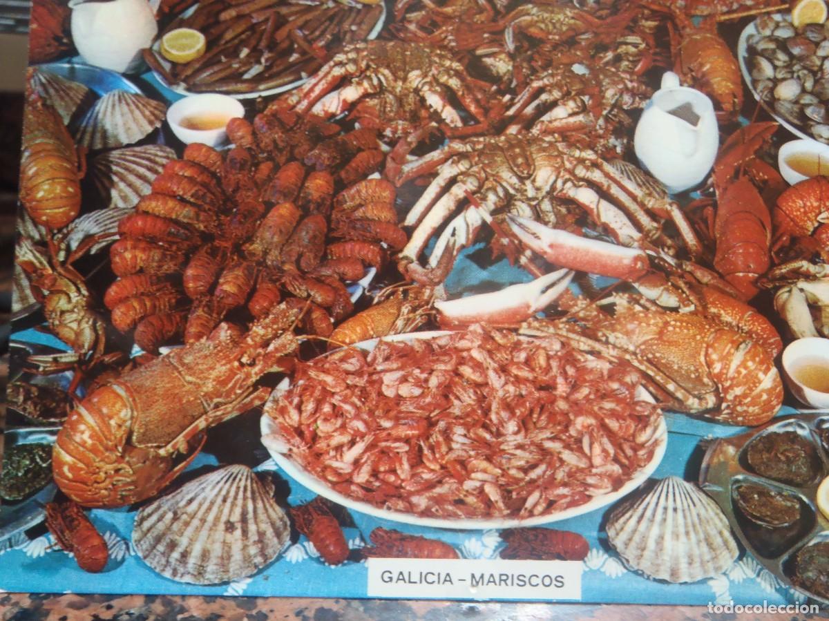 Postkarten: GALICIA - MARISCOS