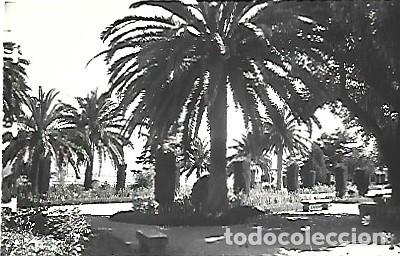 Postales: Espana & Postale, La Toja, Parque, Ediciones Lujo (8889993) - Foto 1
