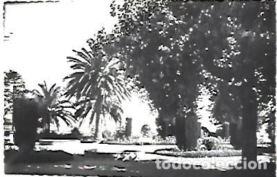 Postales: Espana & Postale, La Toja, Parque, Ediciones Lujo (8883) - Foto 1