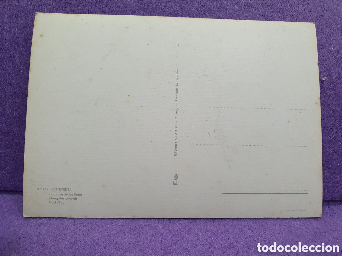 Postales: Postal Pontevedra. Estanque. (L66) - Foto 2