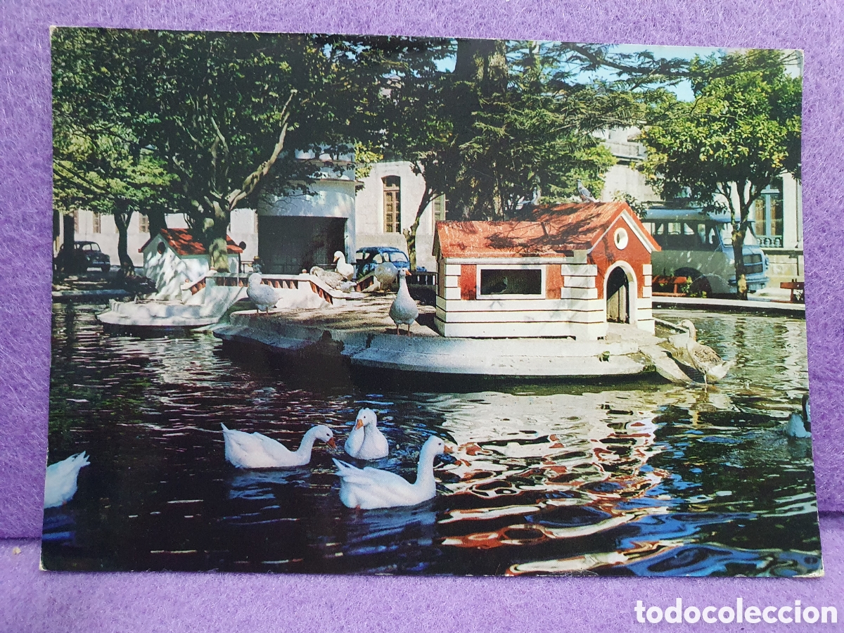 Postales: Postal Pontevedra. Estanque. (L66) - Foto 1