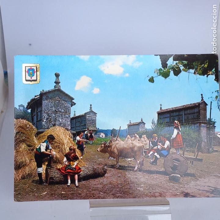 Postales: Postal galicia tradicional - Foto 1