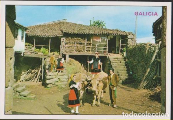 Postales: postal GALICIA TIPICA ESPA&Ntilde;A POST CARD