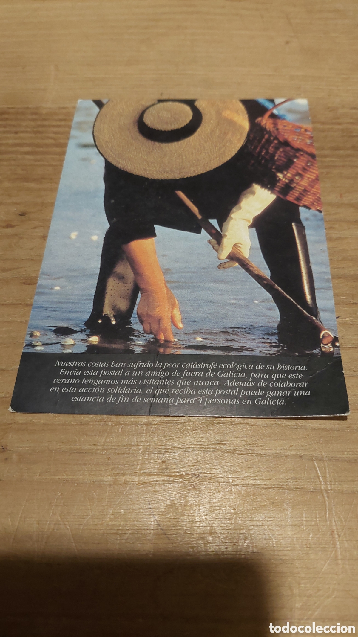 Postcards: Mariscadora estrella Galicia postal