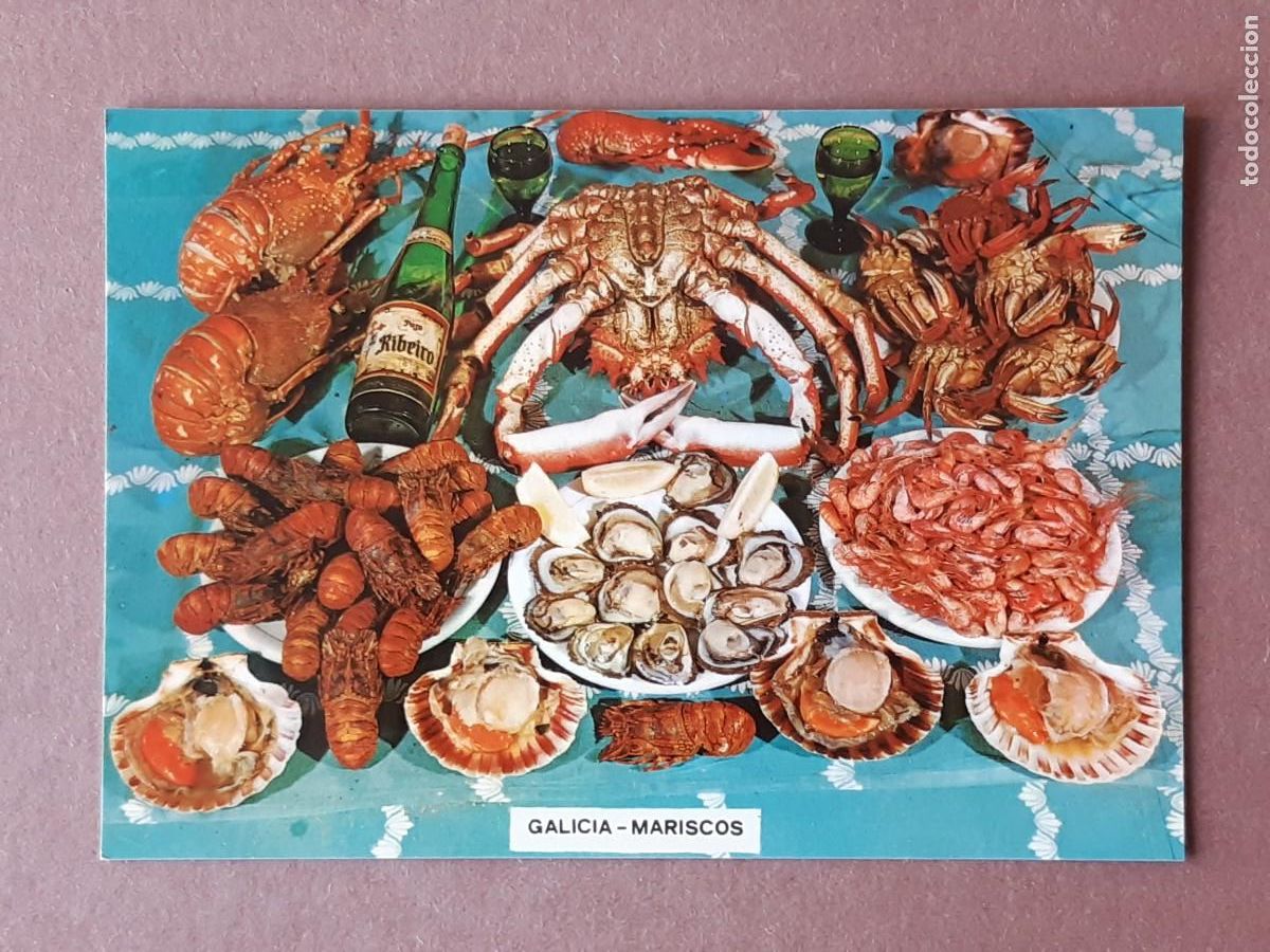 Postales: POSTAL 3064 FAMA. MARISCOS. GALICIA. 1973. ESCRITA SIN CIRCULAR.