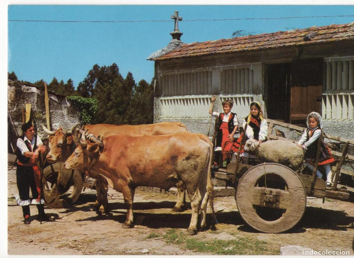 Postkarten: CARRO T&Iacute;PICO GALICIA-CIRCULADA-