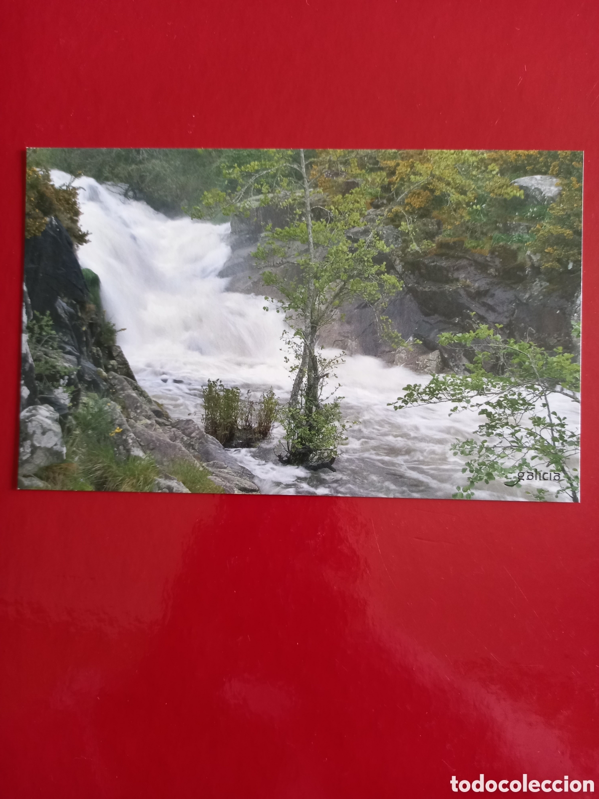 Postkarten: POSTAL SIN CIRCULAR GRANDE - CASCADA DEL R&Iacute;O CASTRO (MUX&Iacute;A)